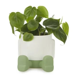 Balvi Bloempot mr. Sitty