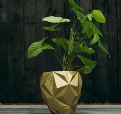 Candellana Bloempot beton Geometric 13 cm Classic Gold
