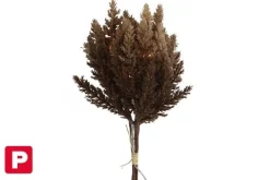 Countryfield Astilbe boeket met LED verlichting donkerbruin