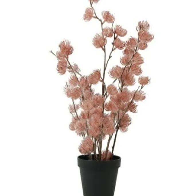 Countryfield Bloem in pot Clematis alpina M oud roze 14 x 14 x 57 cm