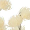Countryfield Bloem in pot Clematis alpina M crème 57 cm | Countryfield