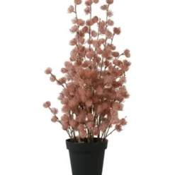 Countryfield Bloem in pot Clematis alpina L oud roze 16 x 16 x 66 cm