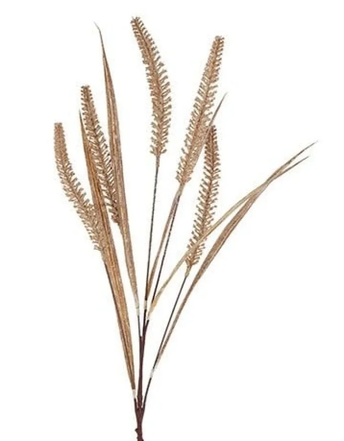 Countryfield Gras/Pluim Certaria bruin