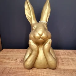 Countryfield Haas Zen M goud
