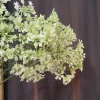 Countryfield Heracleum sphondylium wit kunsttak - Countryfield