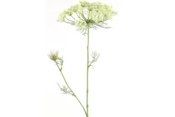 Countryfield Heracleum sphondylium wit kunsttak - Countryfield