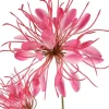 Countryfield Kunstbloem Lycoris donkerroze - L 12 x B 8 x H 94 CM