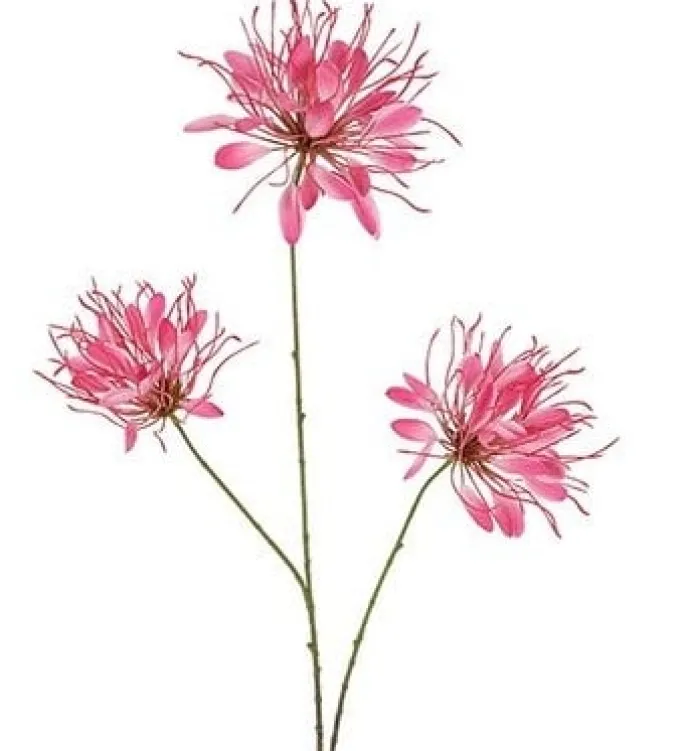 Countryfield Kunstbloem Lycoris donkerroze - L 12 x B 8 x H 94 CM