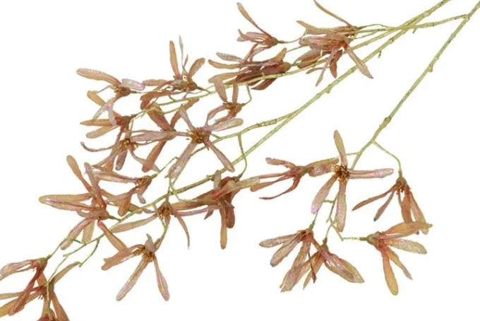 Countryfield Kunstbloem Sparkly Forsythia S goud
