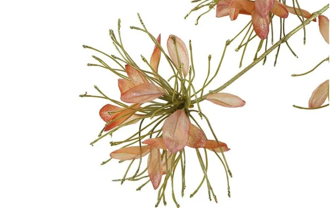 Countryfield Kunstbloem Sparkly Cleome S donkerroze