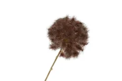 Countryfield Kunstbloem Taraxacum 3x bruin - 8 x 20 x 80 cm