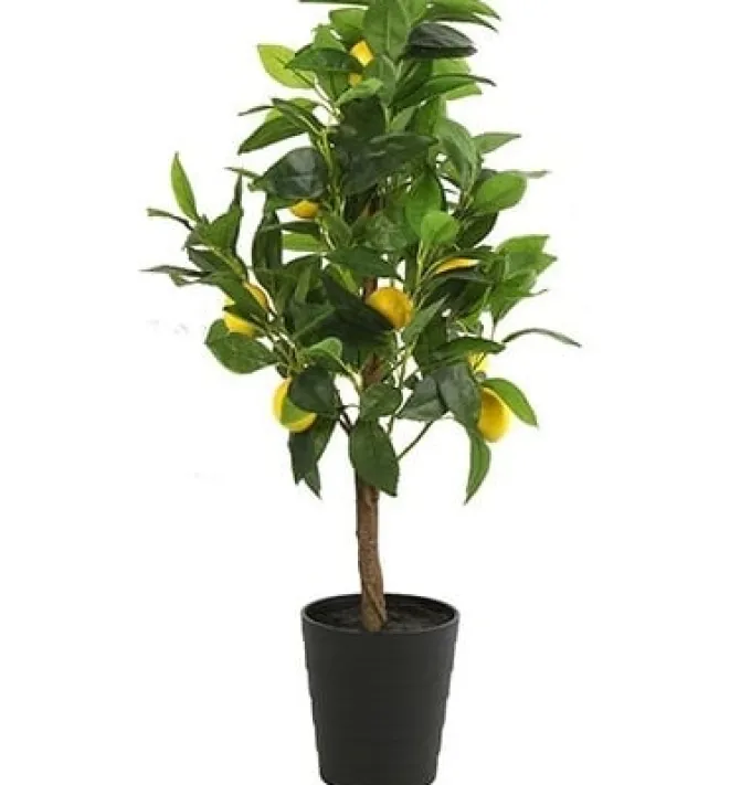 Countryfield Kunstplant Citrus Limon met gele vruchten 75 cm hoog