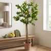 Countryfield Kunstplant Limon groen citroen 170 cm hoog