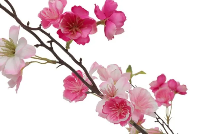 Countryfield Kunstplant Prunus M roze - L 50 x B 50 x H 185 CM