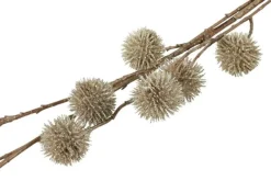 Countryfield Kunsttak Bloem Echinops champagne - 4 x 13 x 105 cm
