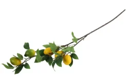 Countryfield Kunsttak Citrus lemon geel