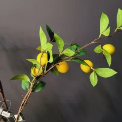 Countryfield Kunsttak Citrus lemon geel