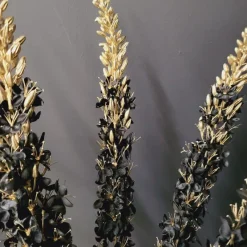 Countryfield Kunsttak Eremurus zwart