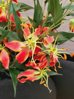 Countryfield Kunsttak Gloriosa oranje - Sfeervolle zijden bloem