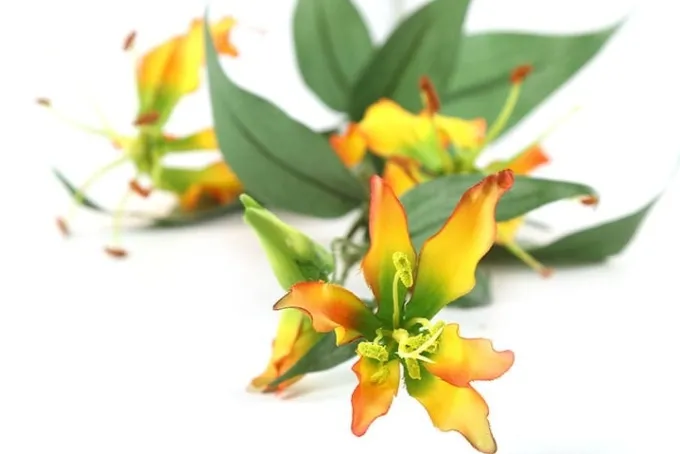 Countryfield Kunsttak Gloriosa goud - Luxe zijden bloem voor in huis