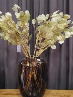 Countryfield Kunsttak Lunaria biennis L - groen