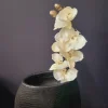 Countryfield Kunsttak Phalaenopsis crème