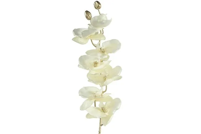 Countryfield Kunsttak Phalaenopsis crème
