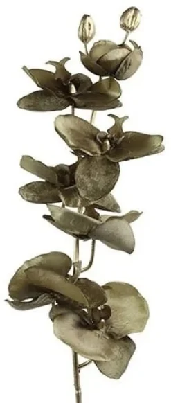 Countryfield Kunsttak Phalaenopsis bruin