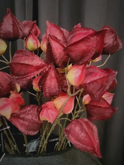 Countryfield Kunsttak Physalis vuur rood