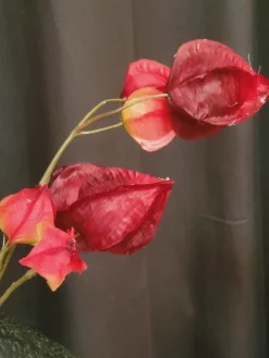 Countryfield Kunsttak Physalis vuur rood