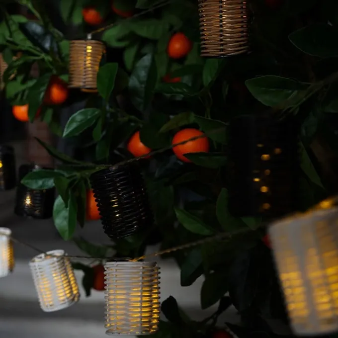 Countryfield Lichtslinger LED Kacy zwart