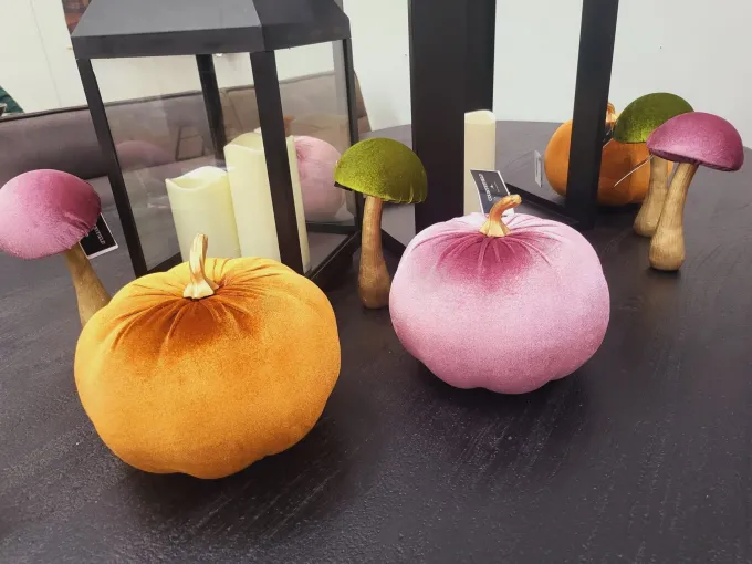 Countryfield Pompoen Pumpa L lila / roze