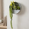 Countryfield Senecio groen met hangbakje