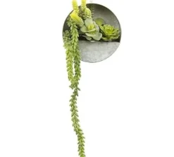 Countryfield Senecio groen met hangbakje