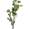 Countryfield Tak Eucalyptus groen 2