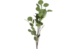 Countryfield Tak Eucalyptus groen 2