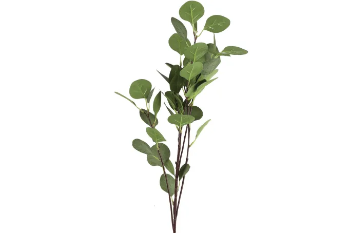 Countryfield Tak Eucalyptus groen 2