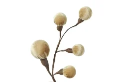 Countryfield Tak Miro L beige - 4 x 12 x 60 cm