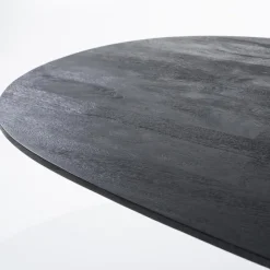 Eleonora Eettafel Aron ovaal 200x110 - zwart