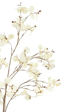 Light en Living Kunstbloem 30x10x118 cm EUCALYPTO crème