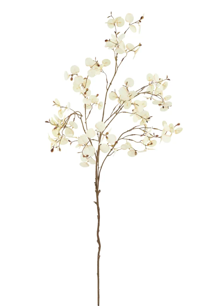 Light en Living Kunstbloem 30x10x118 cm EUCALYPTO crème