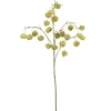 Light en Living Kunstbloem 20x10x100 cm PHYSALIS licht groen