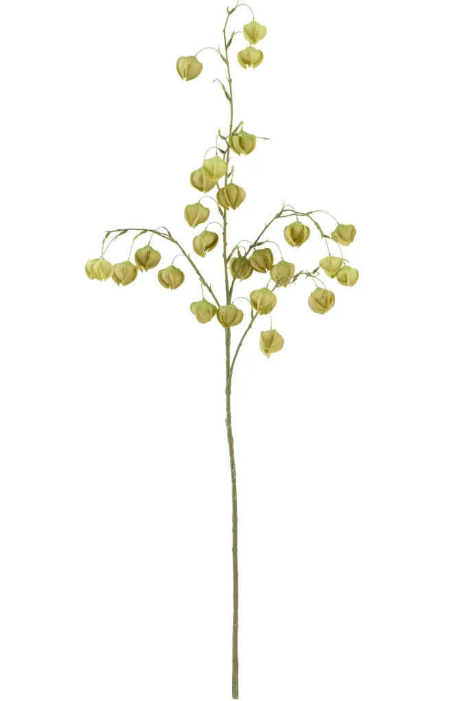 Light en Living Kunstbloem 20x10x100 cm PHYSALIS licht groen