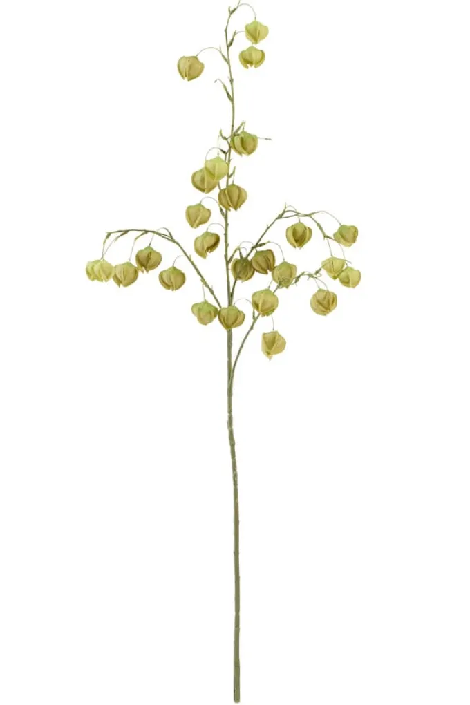 Light en Living Kunstbloem 20x10x100 cm PHYSALIS licht groen