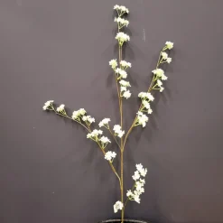 Light en Living Kunsttak 122x30x5 cm SPIRACEA creme