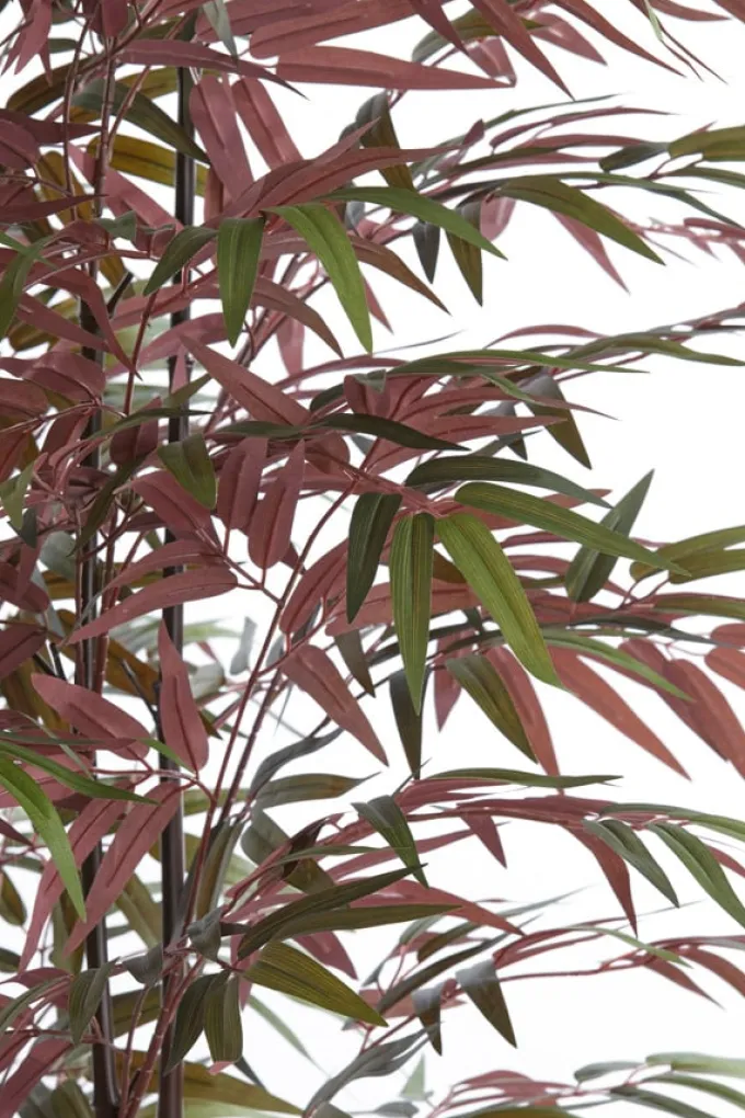 Light en Living Ornament in pot 70x60x180 cm BAMBOO naturel+groen/rood
