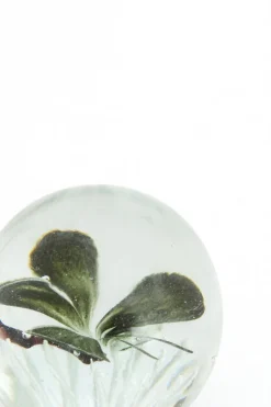 Light en Living Ornament Ø8x8 cm BUTTERFLY glas zwart