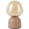 Light en Living Tafellamp LED Ø12,5x19,5 cm VAZYR terra+glas amber