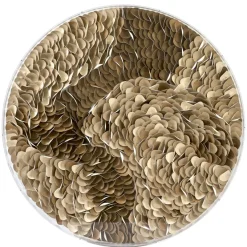 Light en Living Wandornament Ø80x6 cm YAXUNA crème-bruin+helder