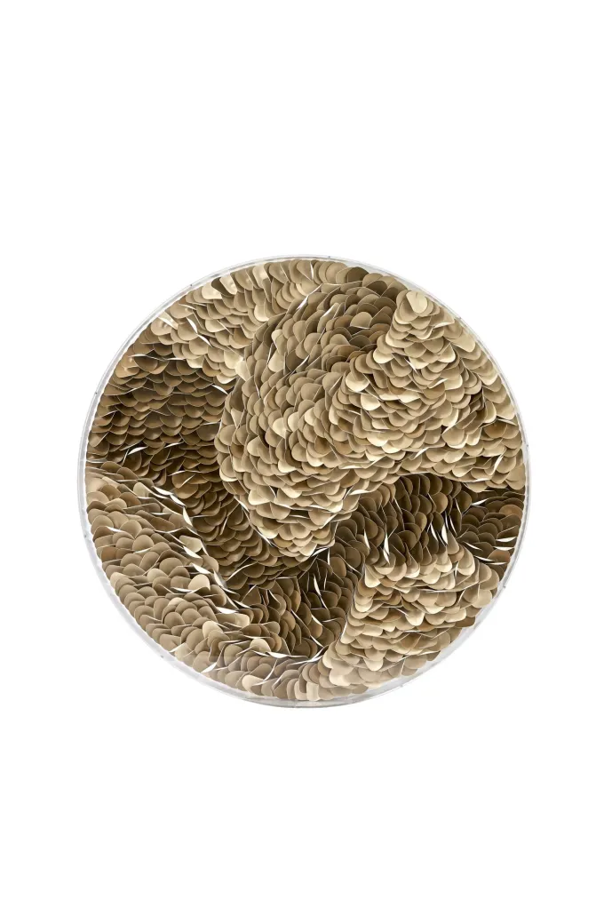 Light en Living Wandornament Ø80x6 cm YAXUNA crème-bruin+helder